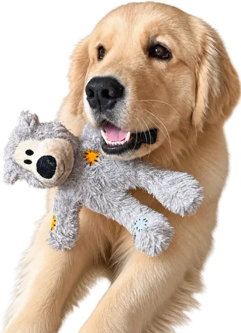 Golden Retriever de Danka sosteniendo un peluche